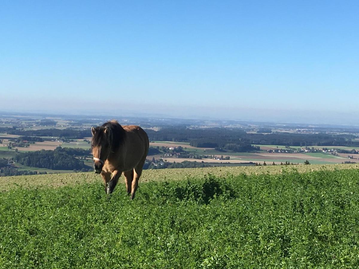 Вилла Hochhubergut Aschach an der Steyr Экстерьер фото