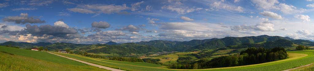 Вилла Hochhubergut Aschach an der Steyr Номер фото